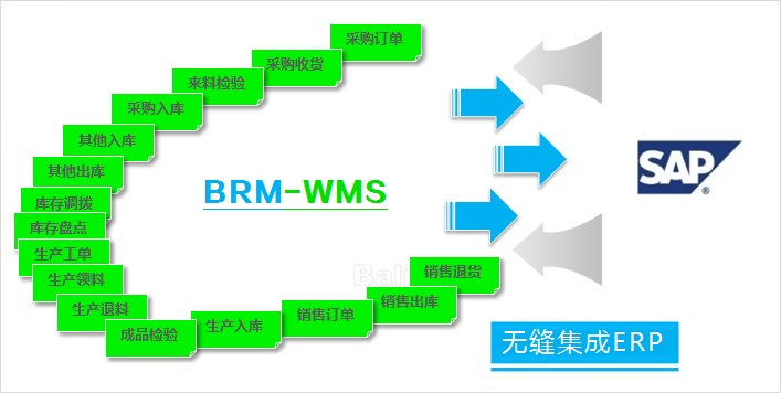balilan.com#WMS-Balilan-SAP-05.png